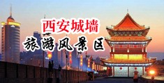 大黑鸡巴操美女高清一级免费大片中国陕西-西安城墙旅游风景区
